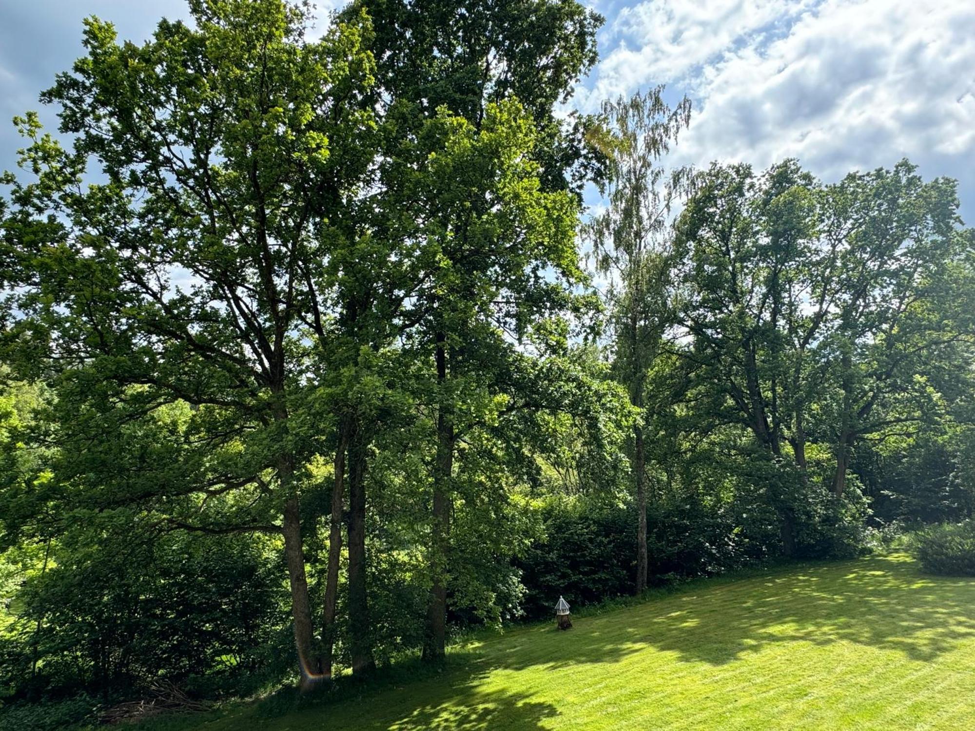 Ferienwohnung Brilon - Willingen Esterno foto